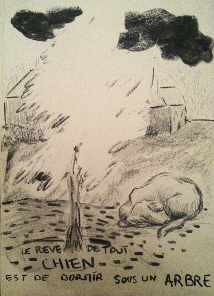 Alcarr35's tweet photo. Chien dormant. #art #contemporaryart #dessin #drawing #rennes #charcoal https://t.co/QZoNx1xuJd