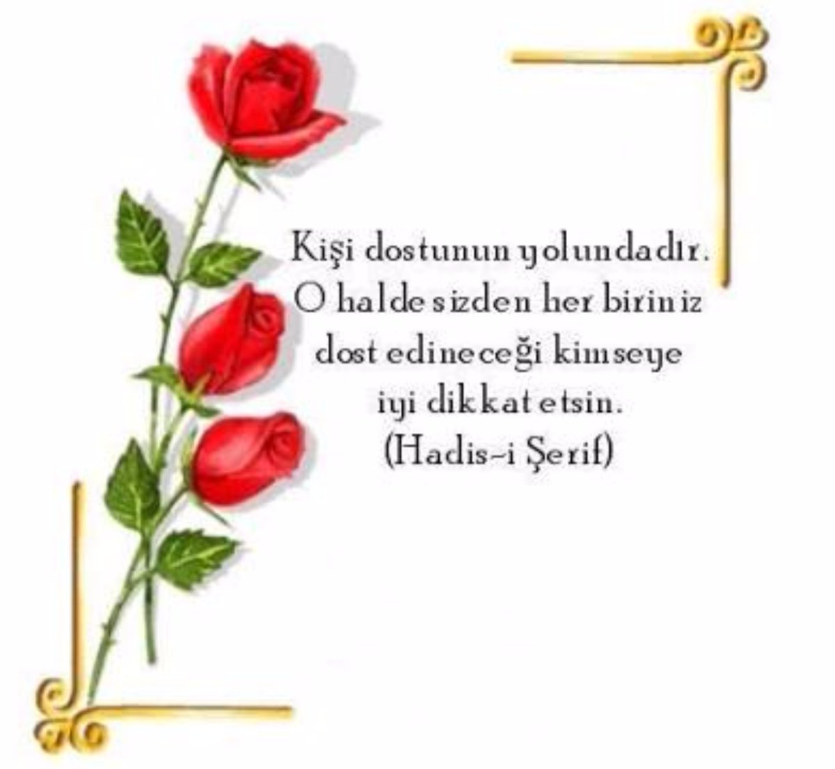 Bizim dostumuz ülkesine ve halkına sevdalı olanlarlardir. Hainlerle işimiz olmaz...
#BarışaYürüyorum  
#AKParti