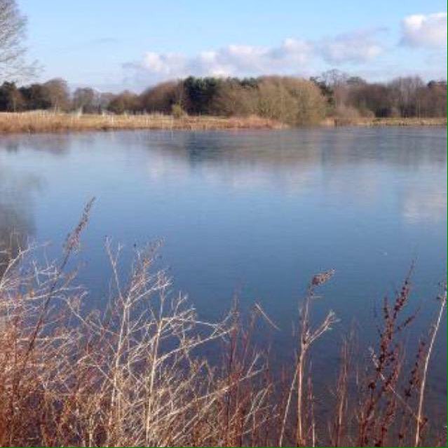 Rockingham10's tweet photo. Early bird prices on @Longhorn_UK til 3rd January so book soon! #ukrunchat https://t.co/m1Z8FiuNRa