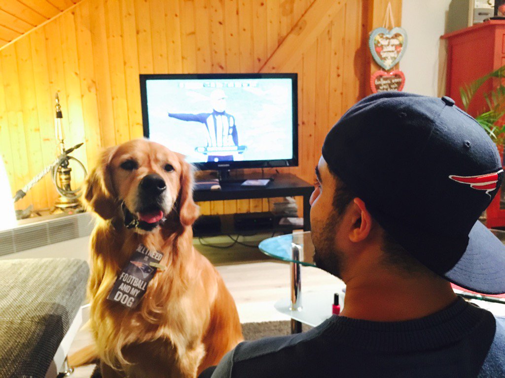 Nodji88's tweet photo. Watching Pats with my Pet. #ranNFL @Icke41 #dahand #patriotsvsjets https://t.co/C3pRk05aUm