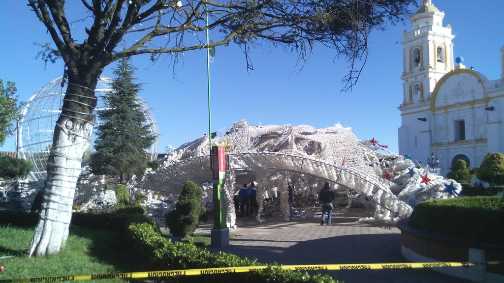 Ivancch's tweet photo. @chignahuapanpue @HechosAM cae el árbol mas grande de México https://t.co/D5PH2meTow