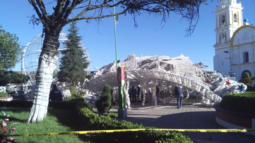 Ivancch's tweet photo. @chignahuapanpue @HechosAM cae el árbol mas grande de México https://t.co/D5PH2meTow