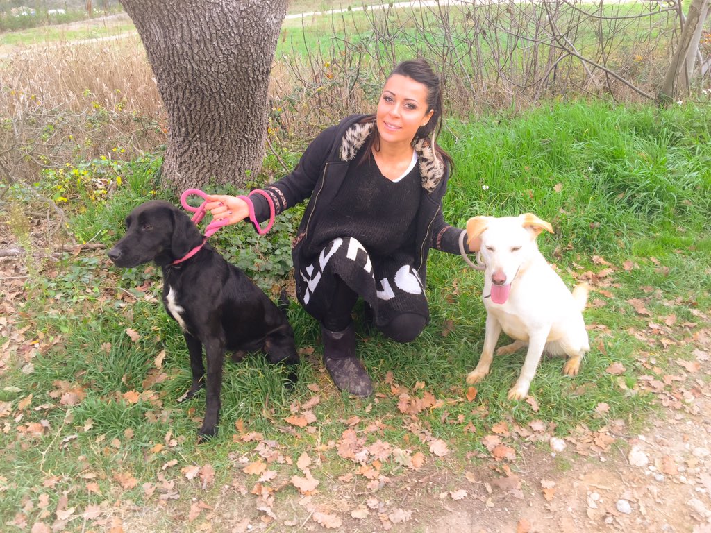LES AMIS NOUVELLE VIDEO 
DES ANIMAUX SONT À L ADOPTION 
👉🏻 youtu.be/_KBvCBJFxpA
Un Max de Rt pour les aider! 💋🐾