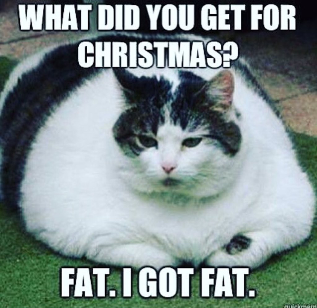 samanthamaria's tweet image. 😭