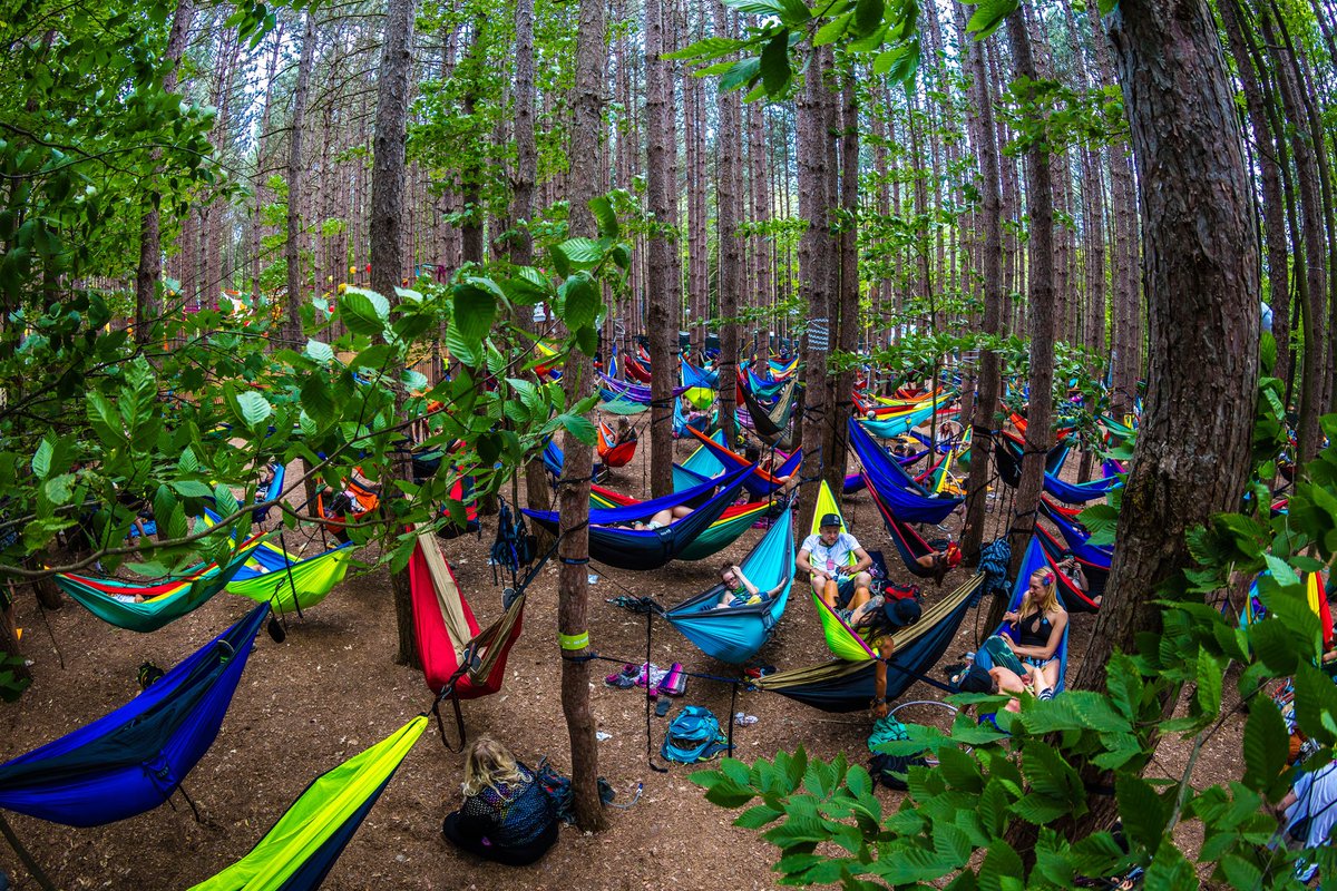 Electric_Forest's tweet image. Everyone wants to be hammock zoned.