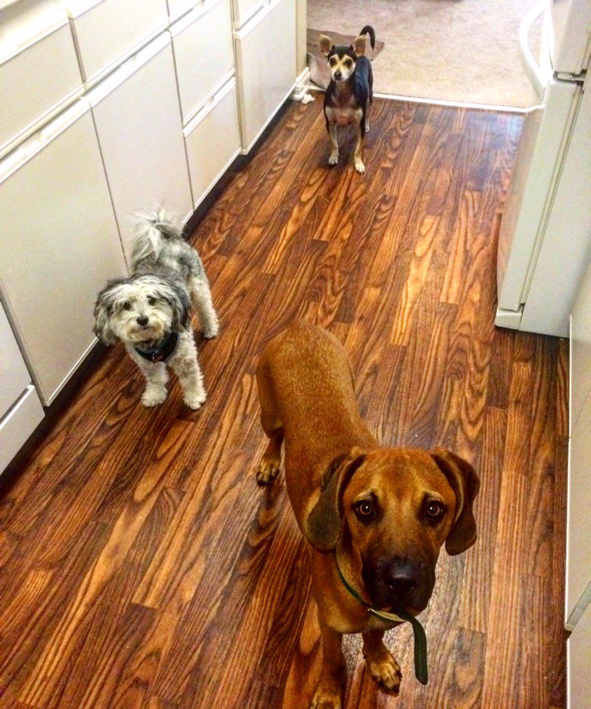 You talkin' to us?😝