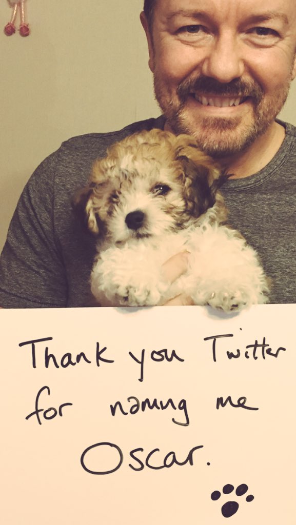 rickygervais's tweet photo. https://t.co/qzz76cdgBF