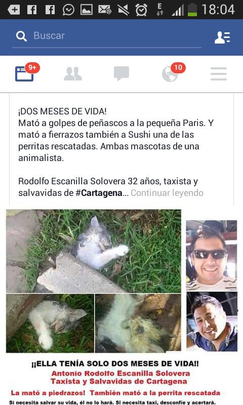 maca_betan's tweet photo. @CartagenaCambia no queremos a este csm a cargo de nuestros niños https://t.co/prLiWmwJ9j