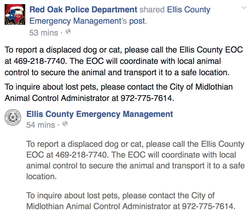 rqskye's tweet photo. #Pets #Animals #EllisCounty #EllisCo #TX #TXtornadoes https://t.co/jEKOeI5OFJ