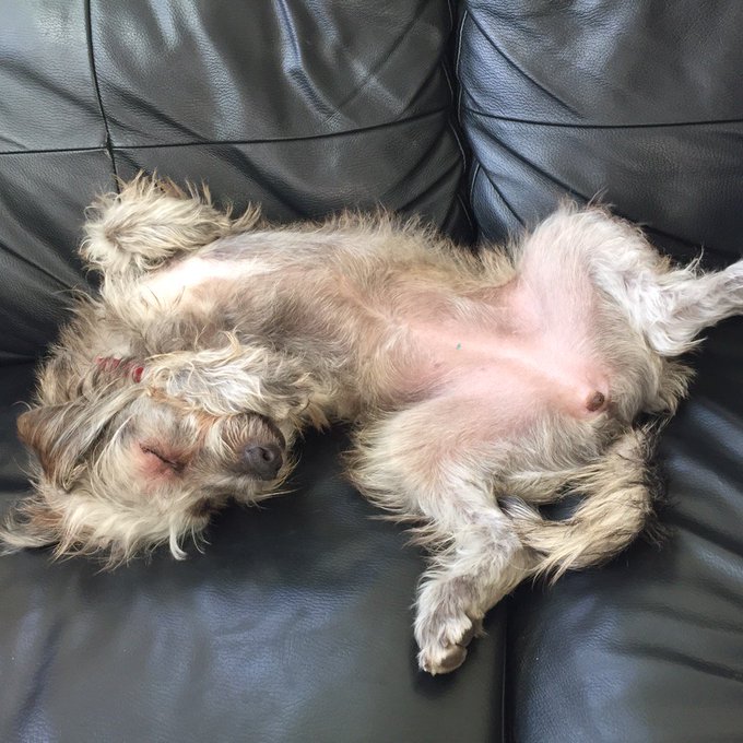 I love this girl. https://t.co/qLciOu6u9N<a href="/tag/mvsales"class="tags"><span>#mvsales</span></a>