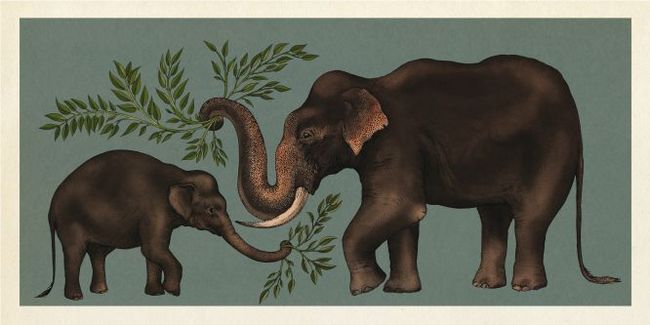 latabla_blog's tweet photo. La naturaleza, los #libros y los niños: Animalium, casi un museo https://t.co/qlEbxfwI4A https://t.co/8wiG6GVdmQ