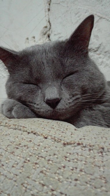 Y por fin... Buenas noches a todos, cachorros os quiero muchisimo!!! https://t.co/ePR57t3vzO<a href="/tag/granada"class="tags"><span>#granada</span></a><a href="/tag/tentacionexxx"class="tags"><span>#tentacionexxx</span></a>