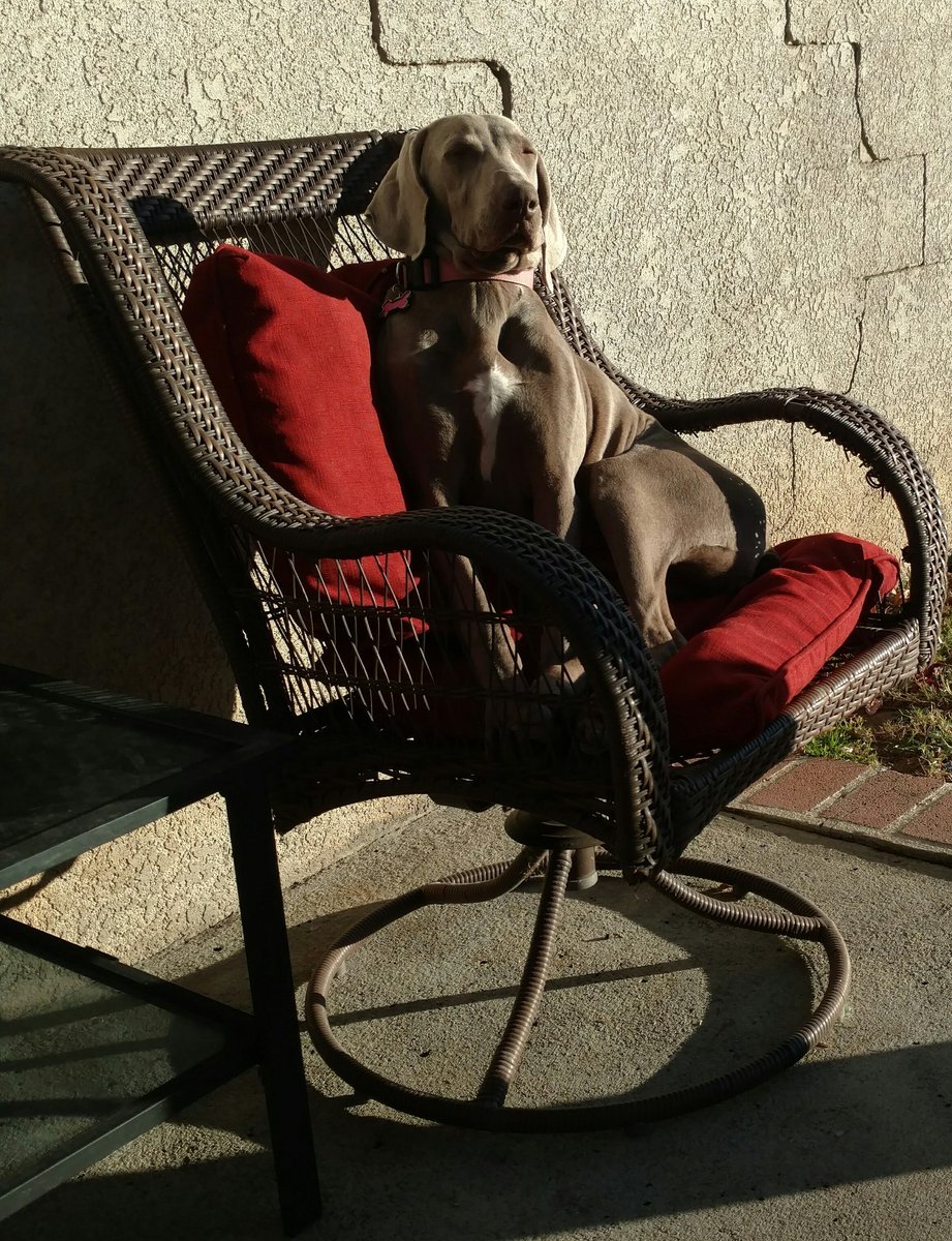 albert rueda (@albertrueda74) on Twitter photo 