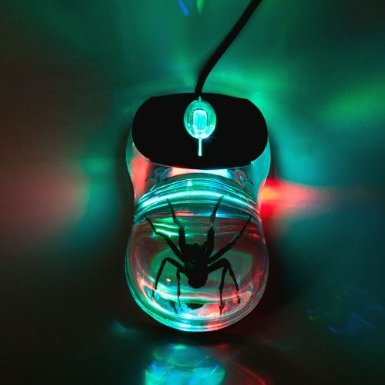 Spider Mouse!  planetcoolstuff.com/spider-mouse/