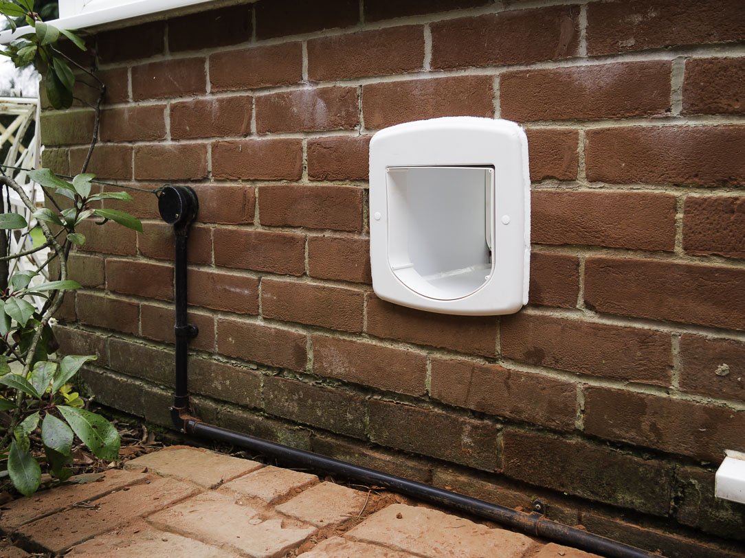 cat flap external wall