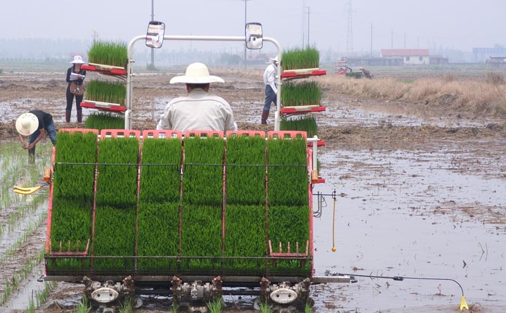 ricemachinecn's tweet image. #RiceMachine, #RiceProcessingMachine supplier. SUPERLIN has been in the line of rice machine for many years.