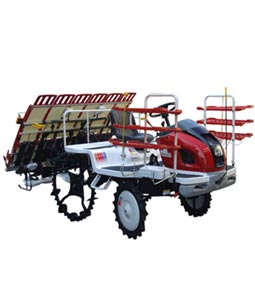 ricemachinecn's tweet image. #RiceMachine, #RiceProcessingMachine supplier. SUPERLIN has been in the line of rice machine for many years.