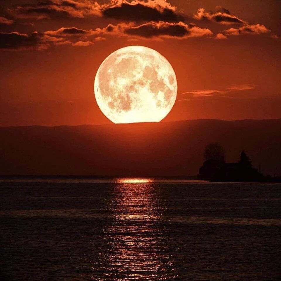 Just_Jacque_'s tweet photo. Good night everyone and have a great night https://t.co/iHdpuWV2kK