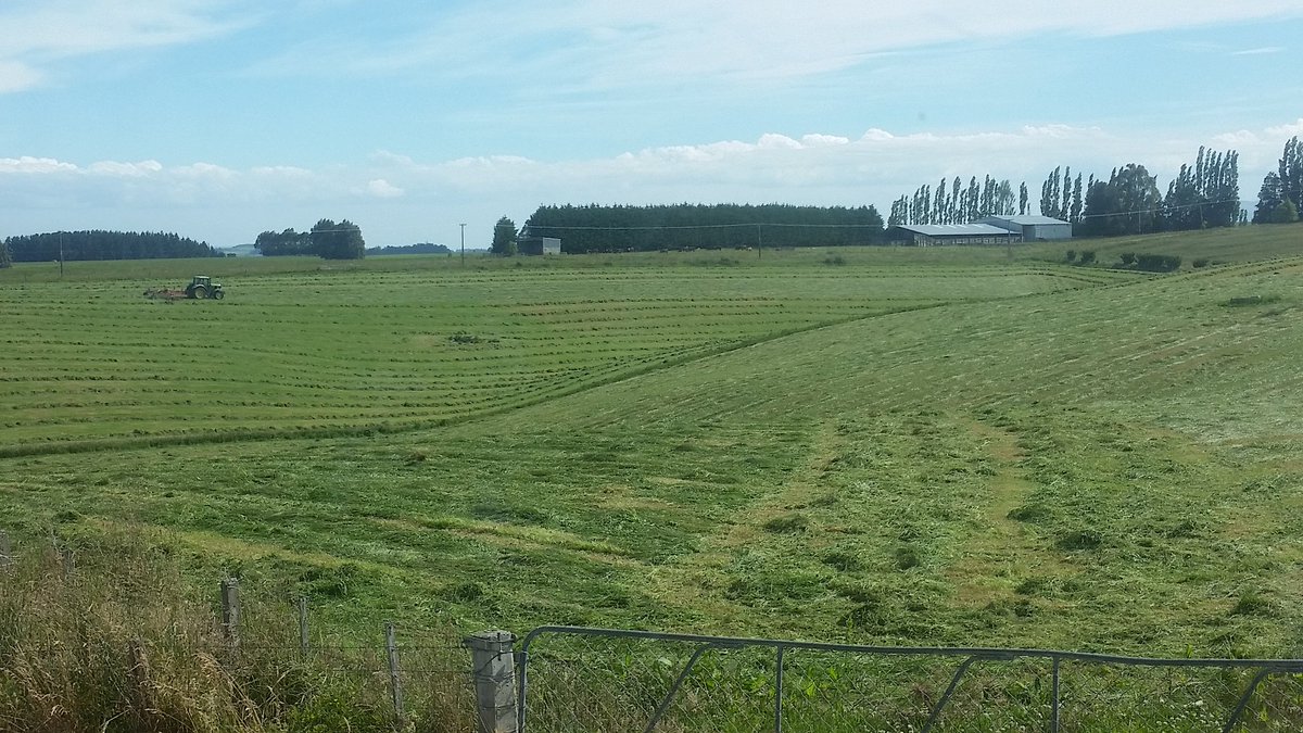 fairleigh_ag's tweet photo. Its all go for the @fairleigh_ag Harvesting division today.Great day to be @The_Grassmen #silage15 https://t.co/USFUmxDh3J