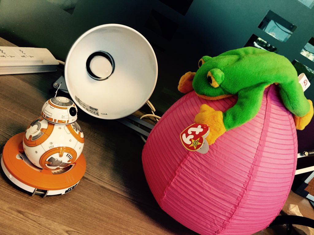 edzofcit's tweet photo. The force is strong with this one... #spotsmoochy https://t.co/12WI7UyYxx