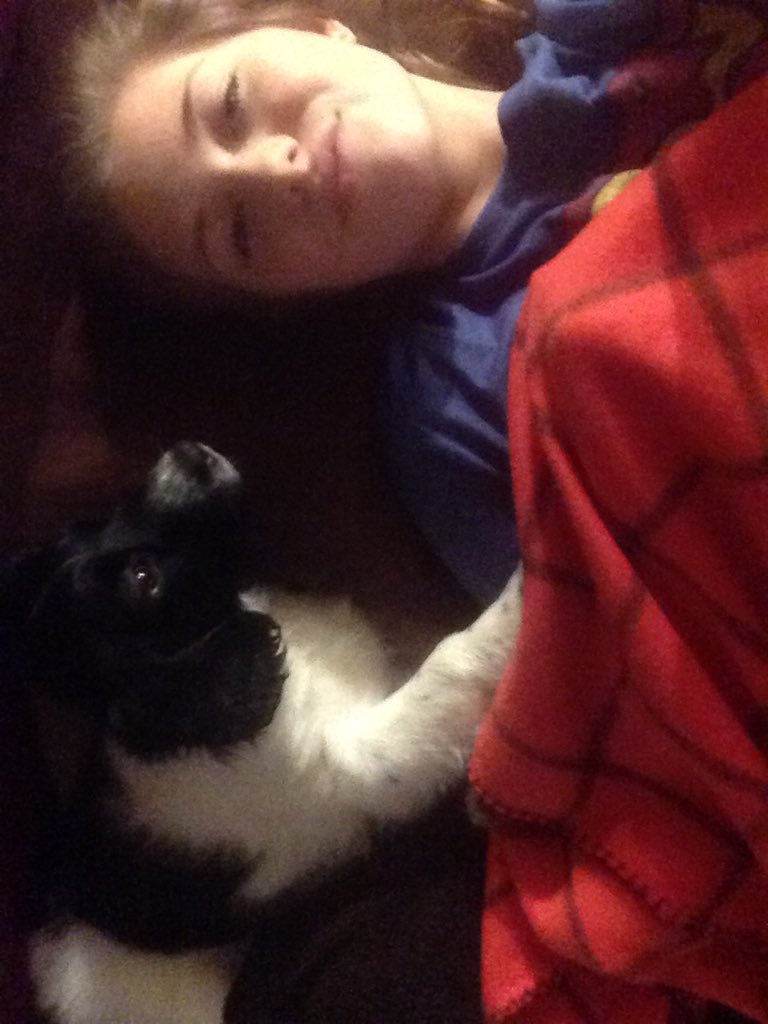 Bananabubble5's tweet photo. A betcha wich yur puppy was cute and snuggly like maiiiinne https://t.co/Ks6o8ZcoDp