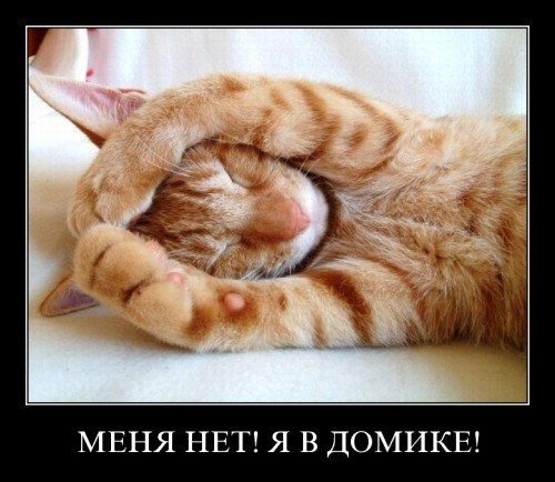 Понедельник. Всем хорошей недели.
