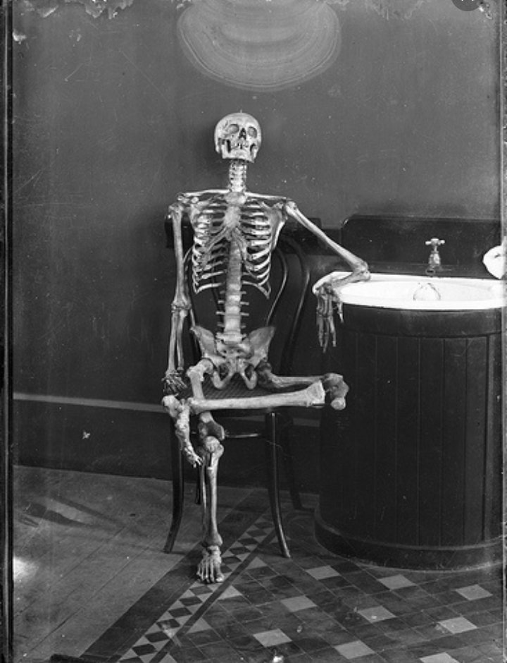 Mikeys_Kitty6's tweet photo. When ur waiting 4 @IPrevailBand 2 release new music xD
Nah.. I know it takes time
Still though you guys are awesome! https://t.co/bhtsucR8Fe