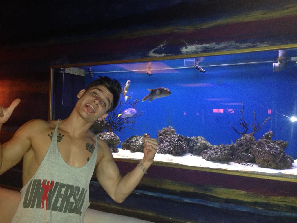 nachonayar's tweet photo. RT si es dori MG si es nemo, yo le voy a dar mg 😂 https://t.co/mXdomJ0i3v