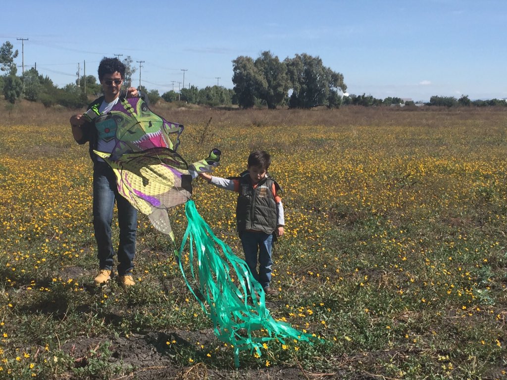 marcodearco's tweet image. Como que ya quiero ser papá