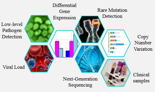 jnmedsys's tweet photo. Here are the common research applications of Clarity digital PCR. Can you think of more? https://t.co/iTiFEH1DjB