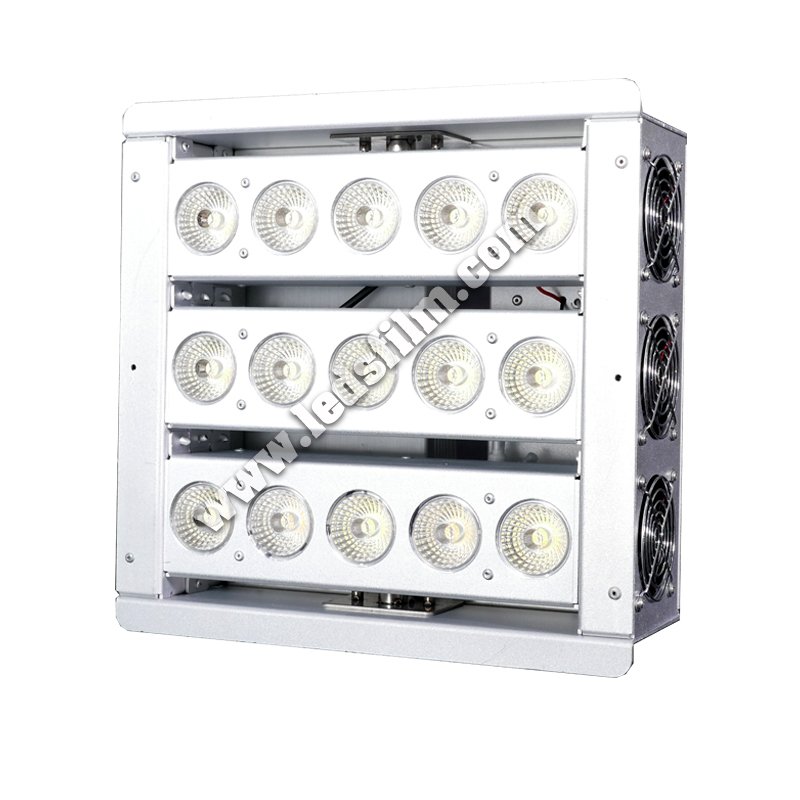 LedsFilm tweet media