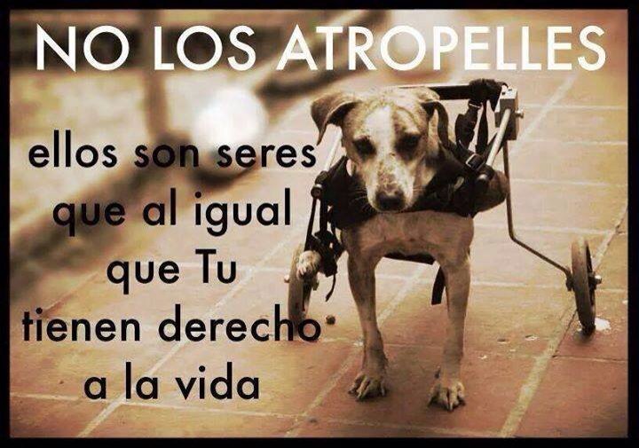 JairoChicas's tweet photo. https://t.co/zJv0DRleXx