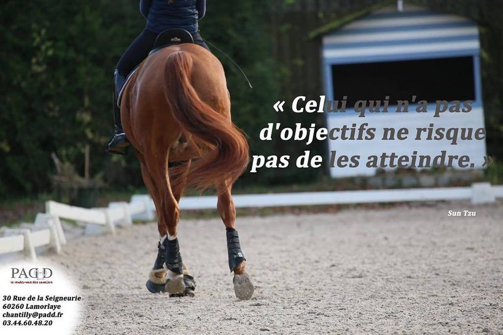 Equestrian Pics Post By Padd Lamorlaye Paddlamorlaye Padd Horse Equitation Poney Chevaux Chantilly Citation Dressage Sport T Co Fn6whmjomg Equestrian Pics Post By Padd Lamorlaye Paddlamorlaye Padd Horse Equitation Poney Chevaux Chantilly Citation Dressage Sport T Co Fn6whmjomg