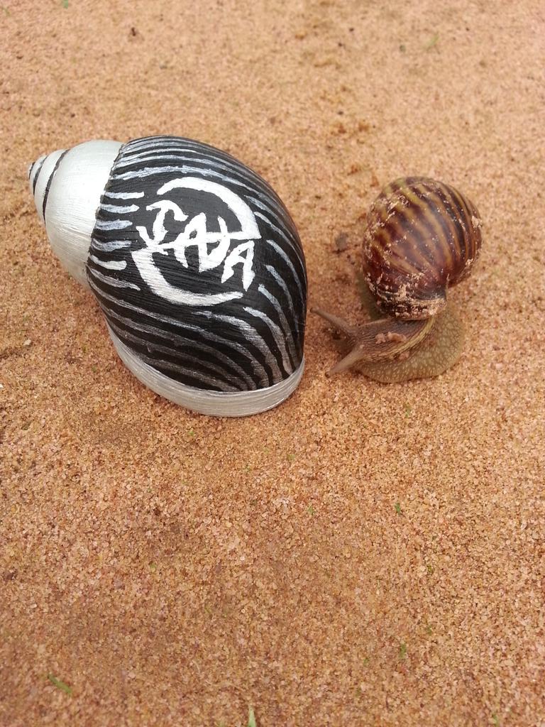 Inzanomics's tweet photo. Mixing nature with my artwork... #RNS  #786  #BasicInzanomics https://t.co/4uxKDAmGcC