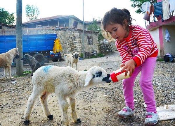 cobanyatak's tweet photo. Gönlü güzel insan yaşadığı yere göre değil,
Taşıdığı yüreğe göre yaşar.. https://t.co/1Zvl8SrycE