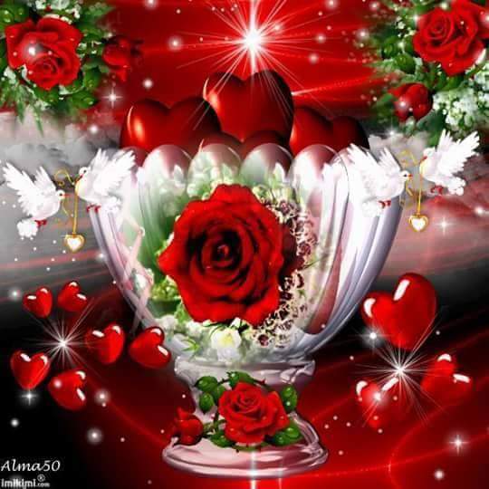 samarbell227's tweet photo. @lovelyman2025 احلى الورود انا اهديها الى احلى عراق وجزائر و شاعر جزائرى وكل بلدان عربية صباحك الانوار https://t.co/F4ucjHJ31X