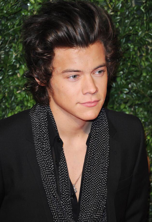 dragmenarry_'s tweet photo. I want this holy hair style back 

#OhNoHarrysHair https://t.co/AhjRNqERMg
