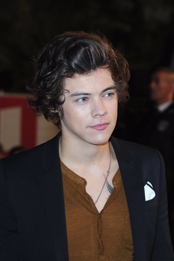 dragmenarry_'s tweet photo. I want this holy hair style back 

#OhNoHarrysHair https://t.co/AhjRNqERMg