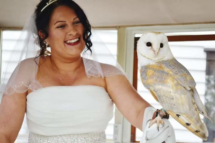 Imperialbirds's tweet photo. Mystic and one of many beautiful blushing brides #weddinghour #WeddingSeason #ringdelivery #essextweets #wedding https://t.co/luINoSj4RM