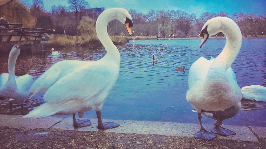 Good news! Bukod sa EB Indonesia, baka magkaka-EB London na rin ---SWAN for all and all for SWAN. <a href="/AngPoetNyo/">Joey de Leon</a>