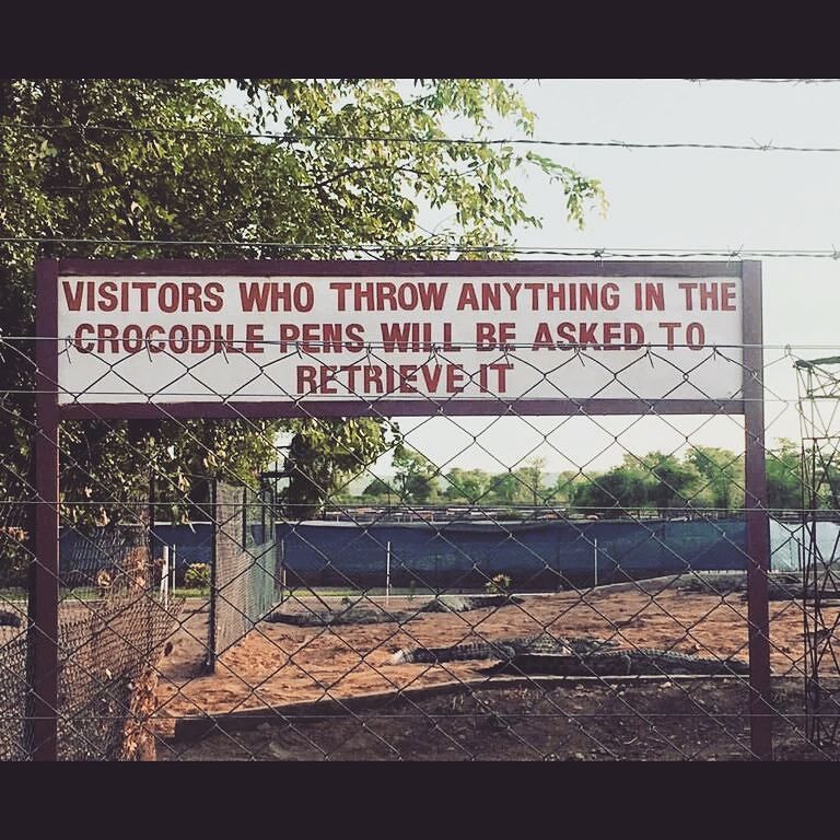 DeeJayFINAL's tweet photo. Somewhere in Africa, you must pick it up by yourself... #nomadiclifeofadj #djfinal #satisfactoryfactory #HybreedStu… https://t.co/ZpIeeHpj2U