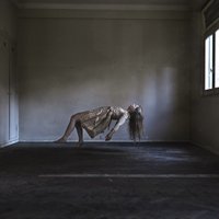 Encara no heu vist l'obra de Sofía López a la Galeria Sicart? Fins al 9 de gener! surtdecasa.cat/penedes/agenda…