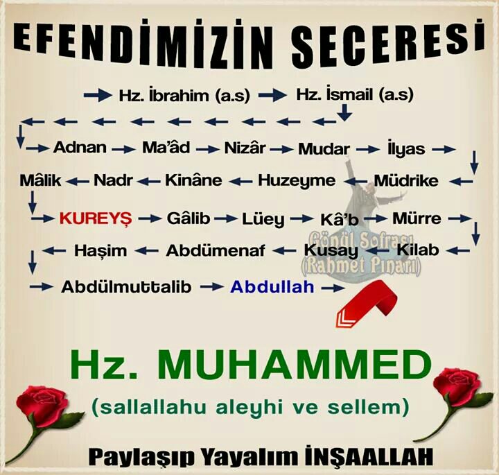 Eserr_badeh's tweet photo. Efendimiz SAV Seceresi ... https://t.co/Gm8vWpJQDr