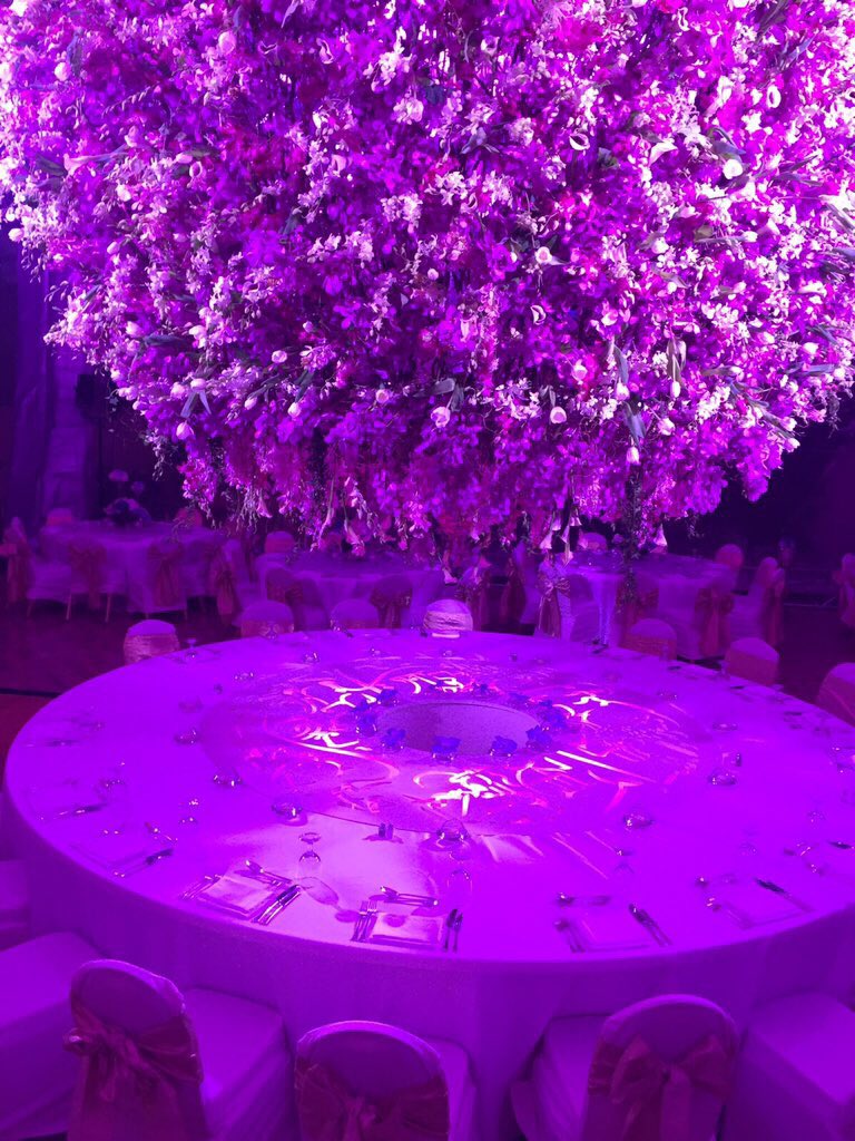 CCGLtd's tweet photo. Christmas wedding. Designed and planned by CCG team. Follow us on instagram for more photos https://t.co/ORv9G9pHod
