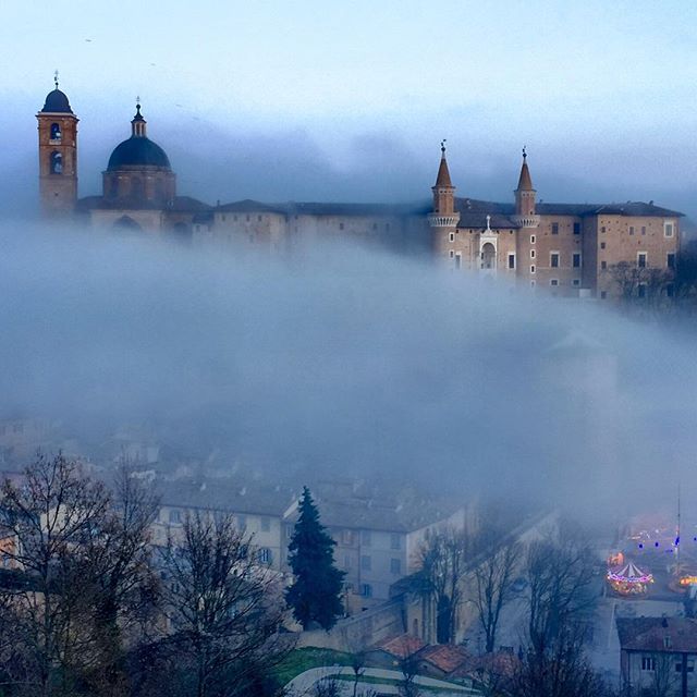 MarcheTourism's tweet photo. #Urbino appare tra la nebbia, come un sogno...vi auguriamo un meraviglioso inizio settimana dalle #Marche https://t.co/Yr54VG1hKW
