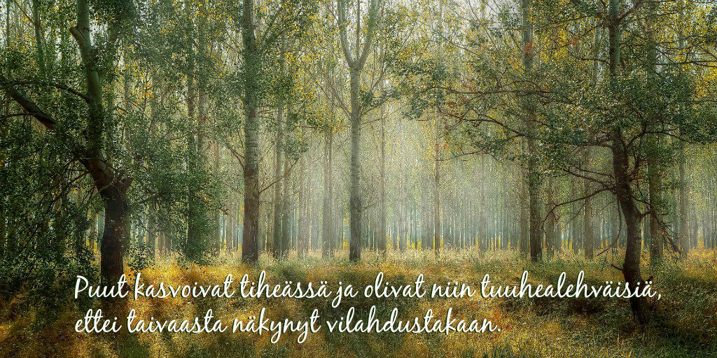 Kansallistarut's tweet photo. Kirjojen parissa voi karata toisiin maailmoihin ja uusiin seikkailuihin. #lukeminen #kirja #kirjat https://t.co/hbFzrjJc5m