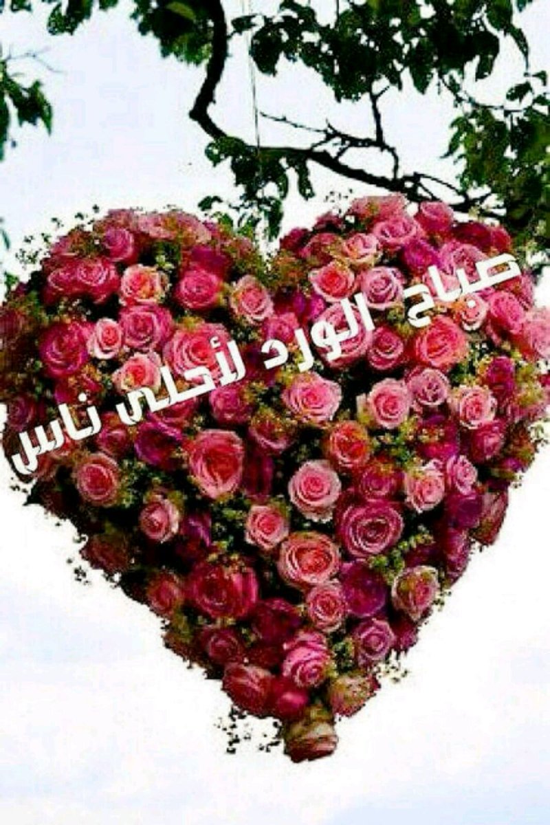 الرجل الحر (@aziz69992253) on Twitter photo 