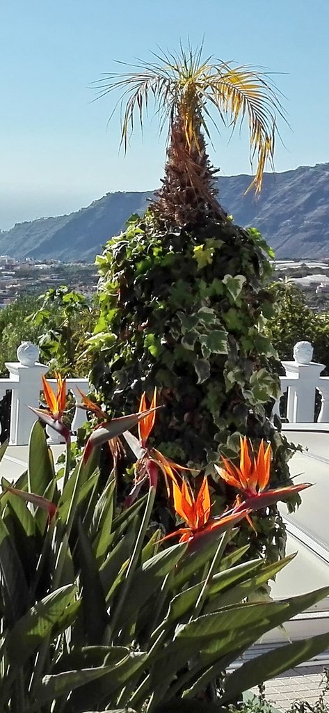 aaronsandrod's tweet photo. #Summer
#Flowers
#MrAarons #dowsed this #beautiful place for you!
Go #Wirehang #yorself!
Says MrAarons. #Rod. https://t.co/iU6cLjvuTg