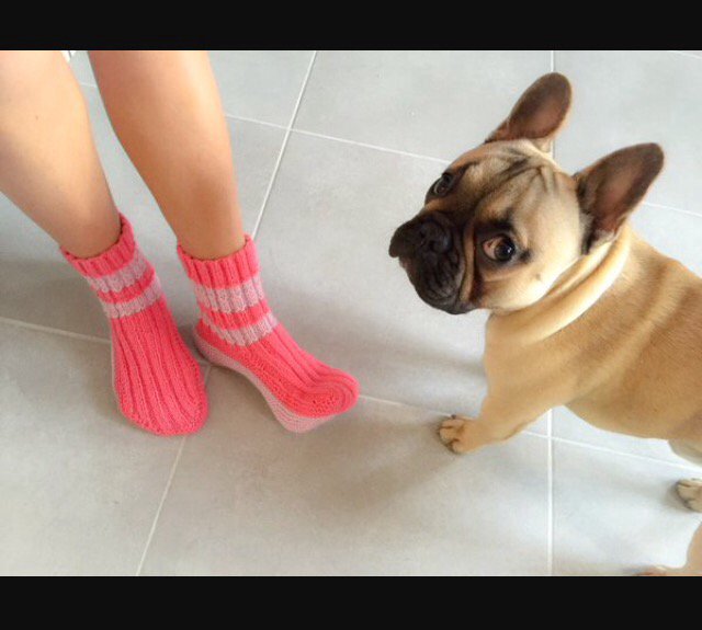 Guizmo mougnoougnou😍🐾 <a href="/Shannakress83/">Shanna Kress</a>