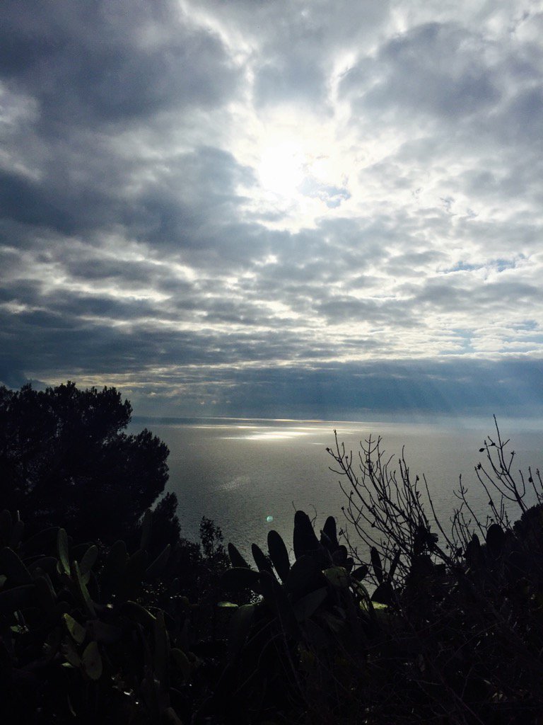 zoe_Nt's tweet photo. ...🌊...🌤...✨...👌... #OuvrezVosYeux https://t.co/Z2fTeQJVam